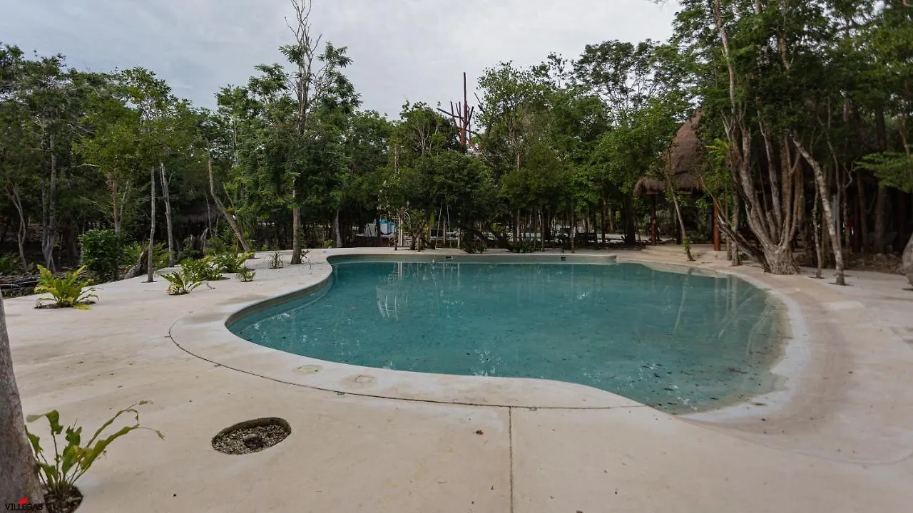 펜션 Home In Puerto Morelos 5Bd 7Br Roof Toop Pool